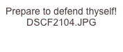 Prepare to defend thyself! DSCF2104.JPG