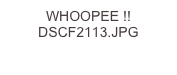WHOOPEE !! DSCF2113.JPG
