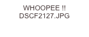 WHOOPEE !! DSCF2127.JPG