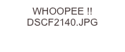 WHOOPEE !! DSCF2140.JPG