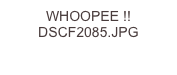 WHOOPEE !!  DSCF2085.JPG